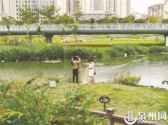 泉州东海魁屿公园：垃圾无人扫 还有人正